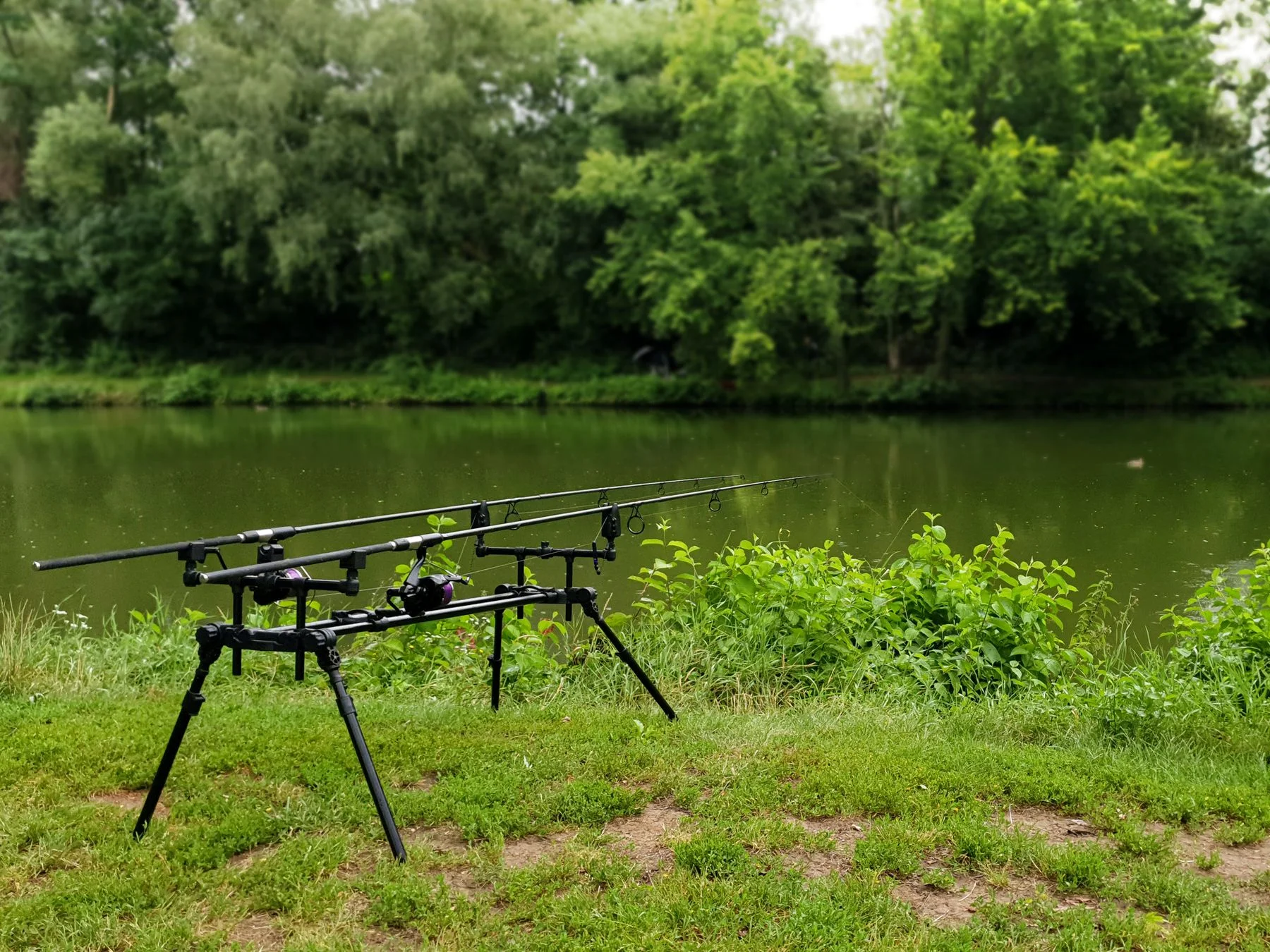 Fishing rods on a stand beside a river surrounded by greenery.